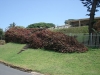 dsc02329_web