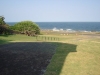 front-yard