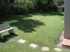 grass