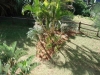 dsc01736_web